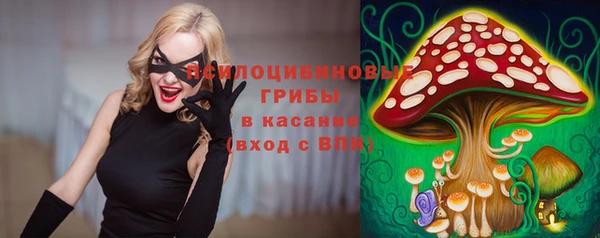 гидропоника Алзамай