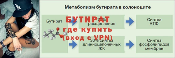 гидра Алексеевка