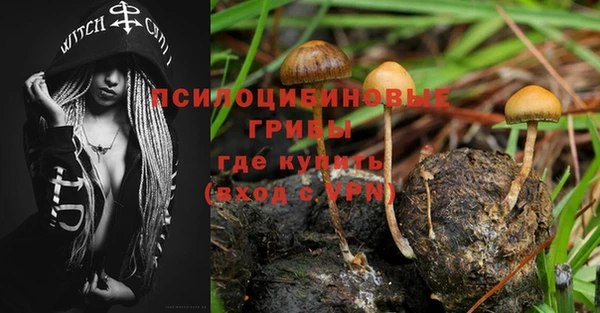 гидропоника Алзамай