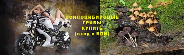 прущие крисы Алексин