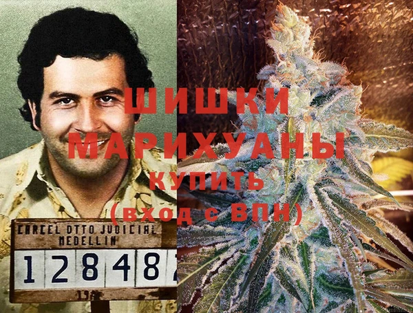 гидра Алексеевка