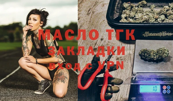гидропоника Алзамай