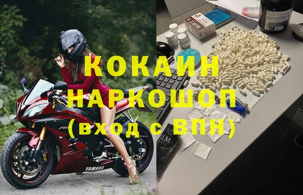 гидра Алексеевка