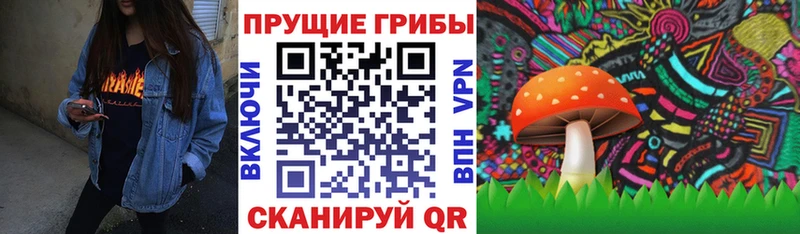 Псилоцибиновые грибы Psilocybine cubensis Долинск